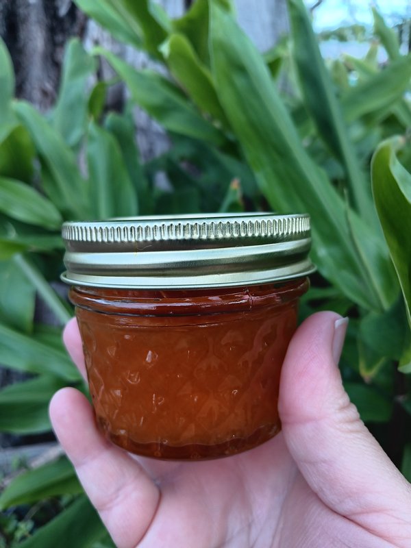 Mango Jam